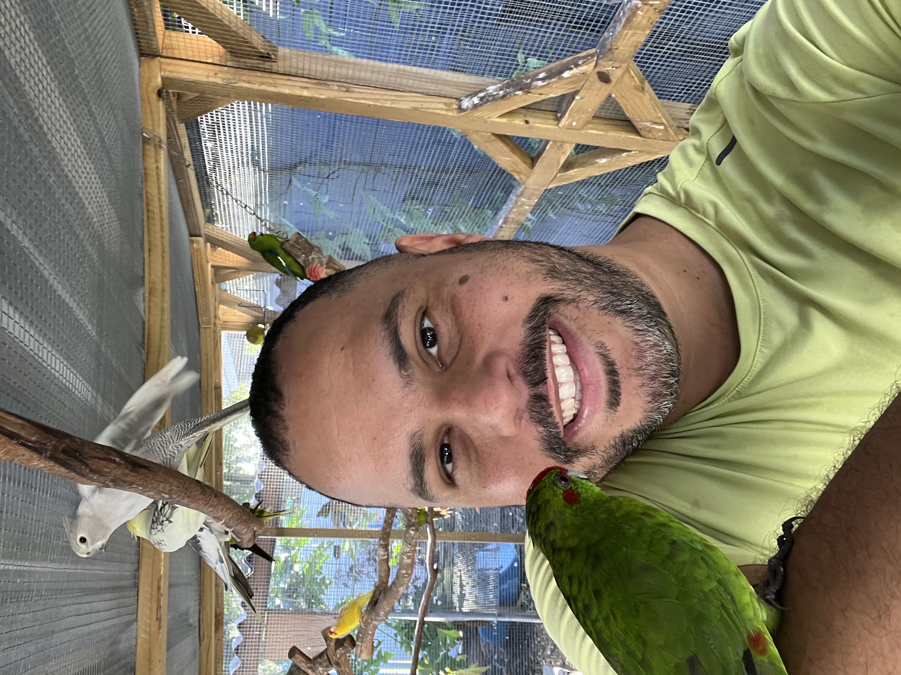 Jaulet Birds