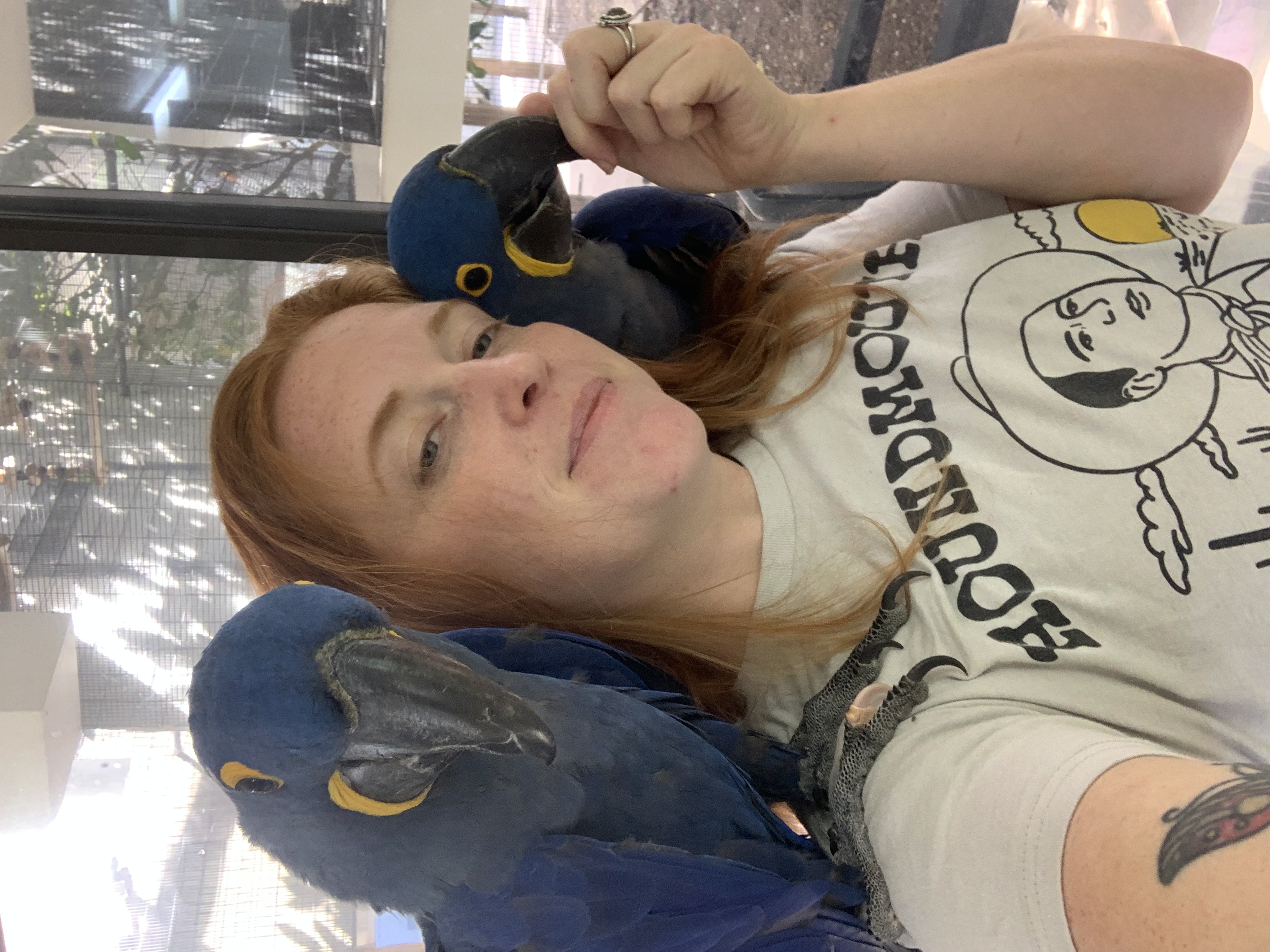 JM parrots
