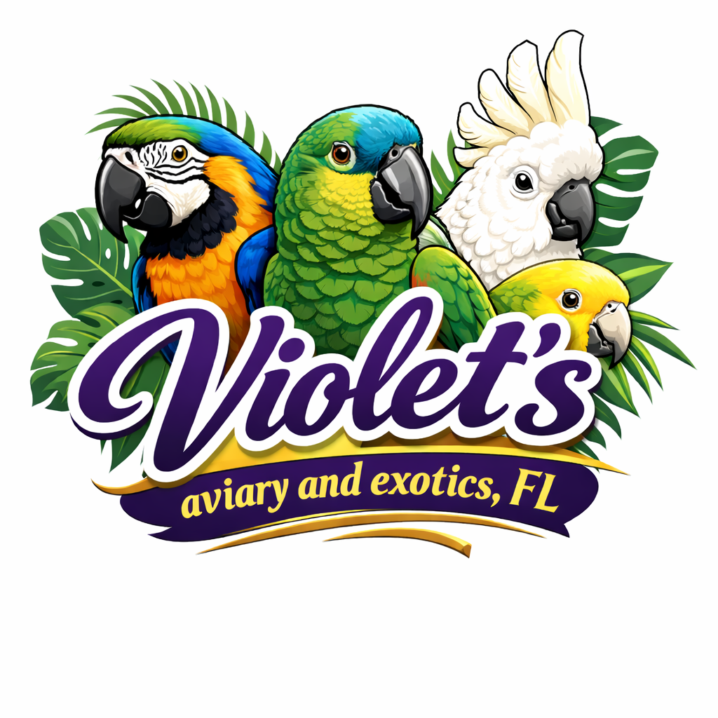 Violet’s aviary 