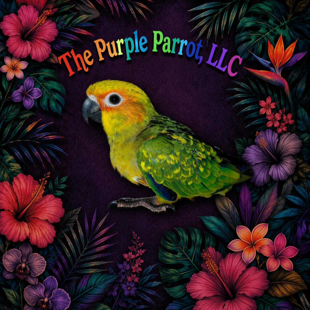 Sun Conure