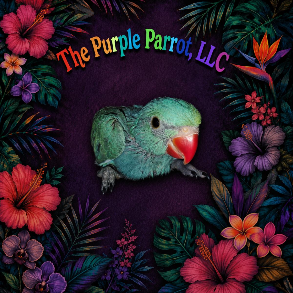 Indian Ringneck Parakeet
