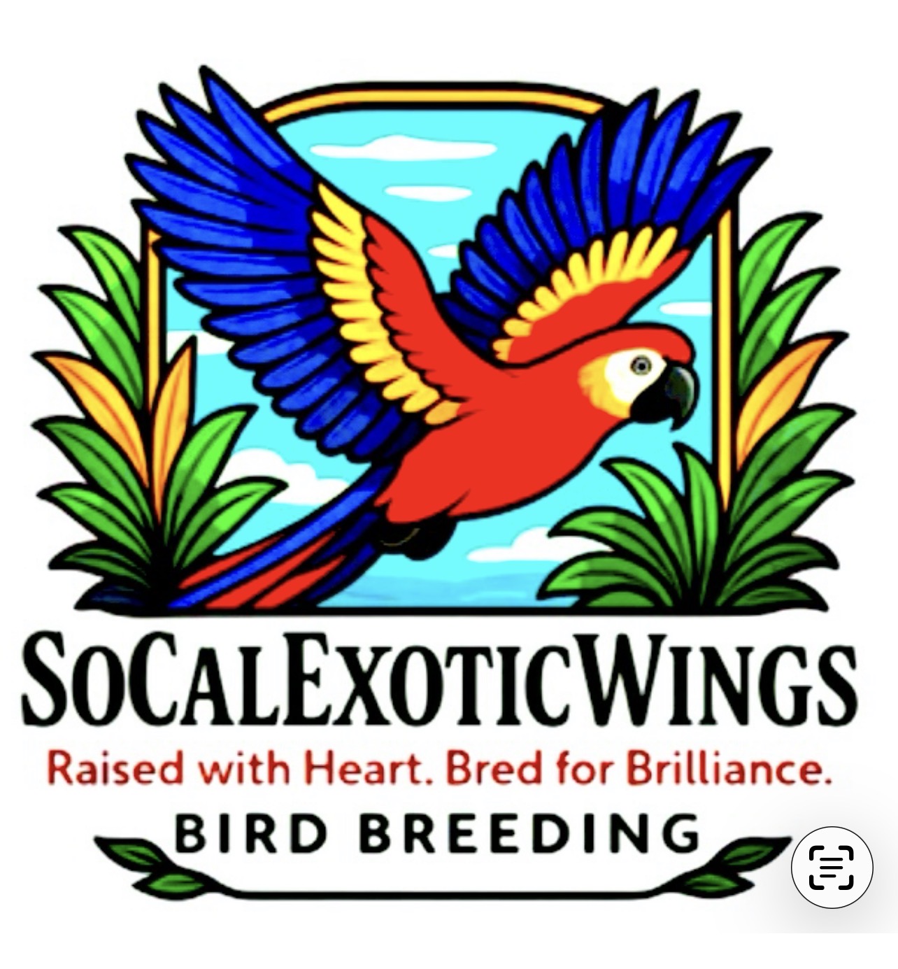 SoCalExoticWings