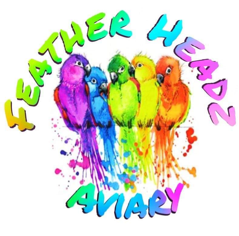 Feather Headz Aviary