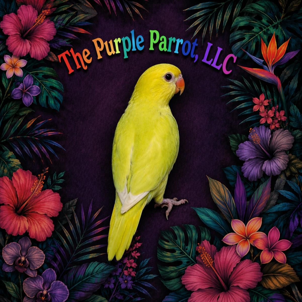 Indian Ringneck Parakeet