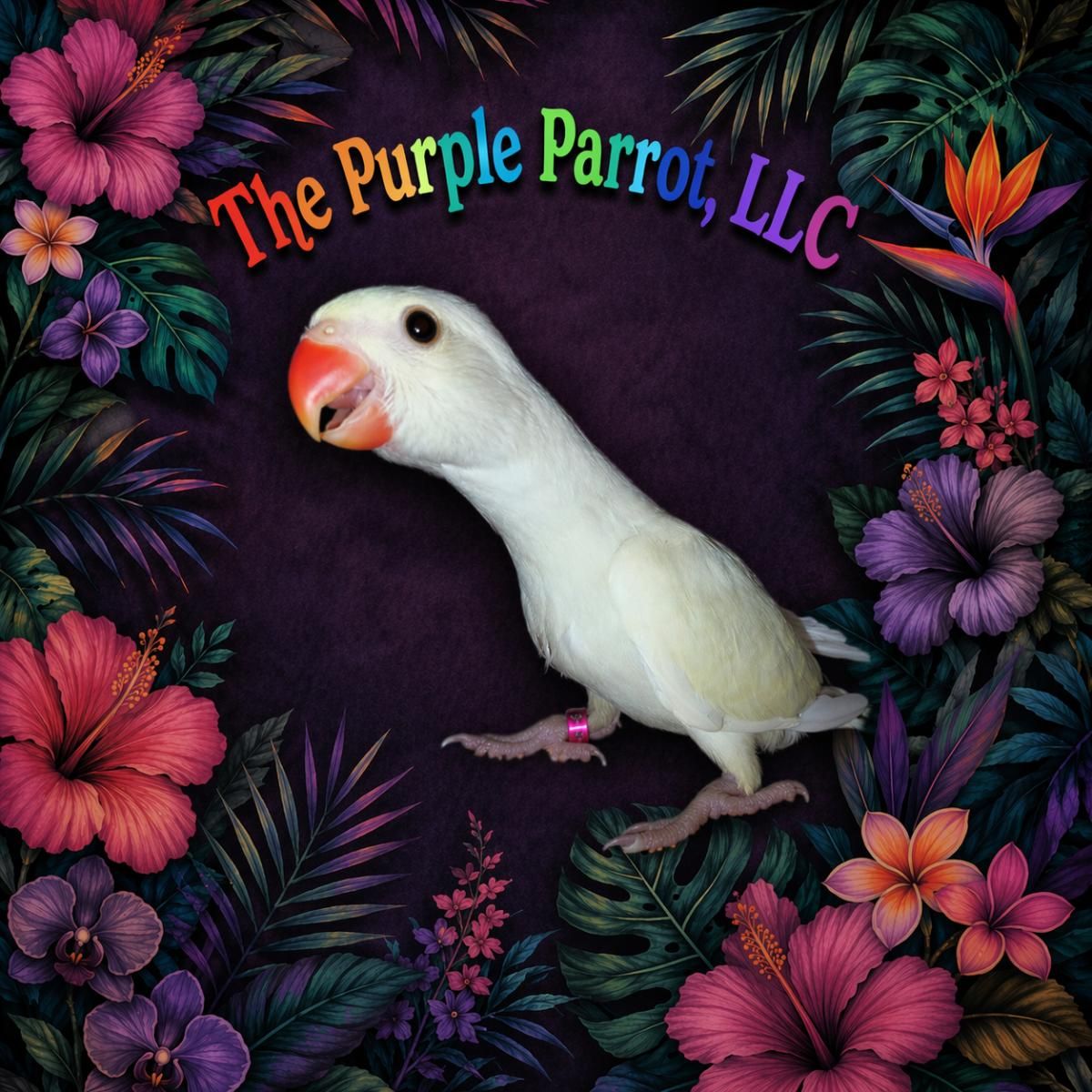 Indian Ringneck Parakeet
